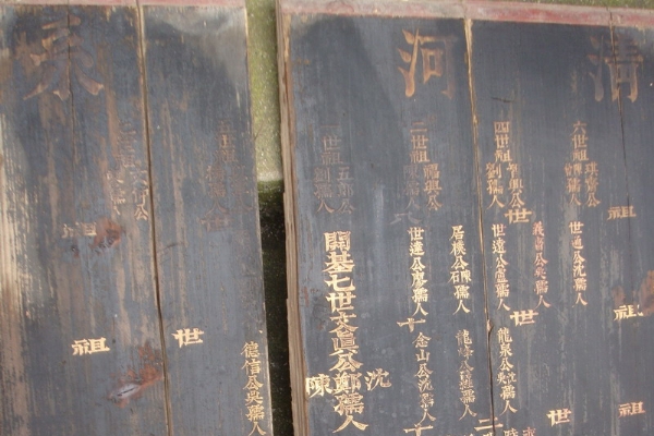点击放大